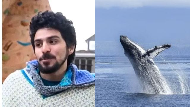 Whale swallows man