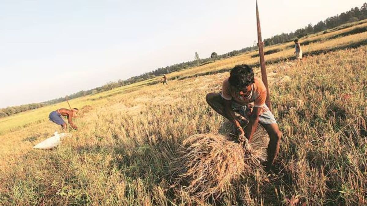 India's labour market challenges: addressing bonded labour, migrant worker welfare, and work culture.