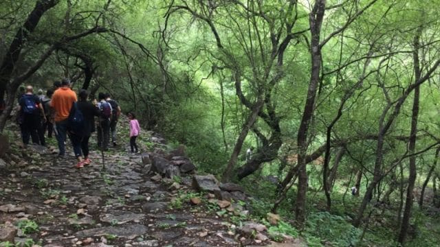 Aravalli zoo safari