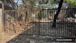 pune, bird sanctuary, salim ali bird sanctuary, indian express
