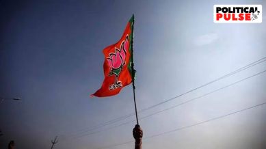 Sources in the BJP, too, said elections for the state chief’s post were likely to be held soon. (Express File Photo)
