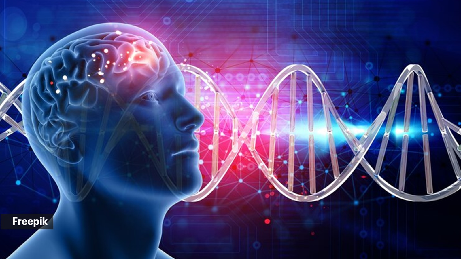 How brain can miraculously switch off pain