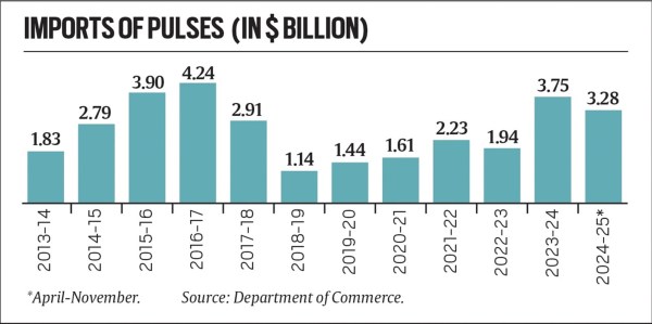 budget, pulses