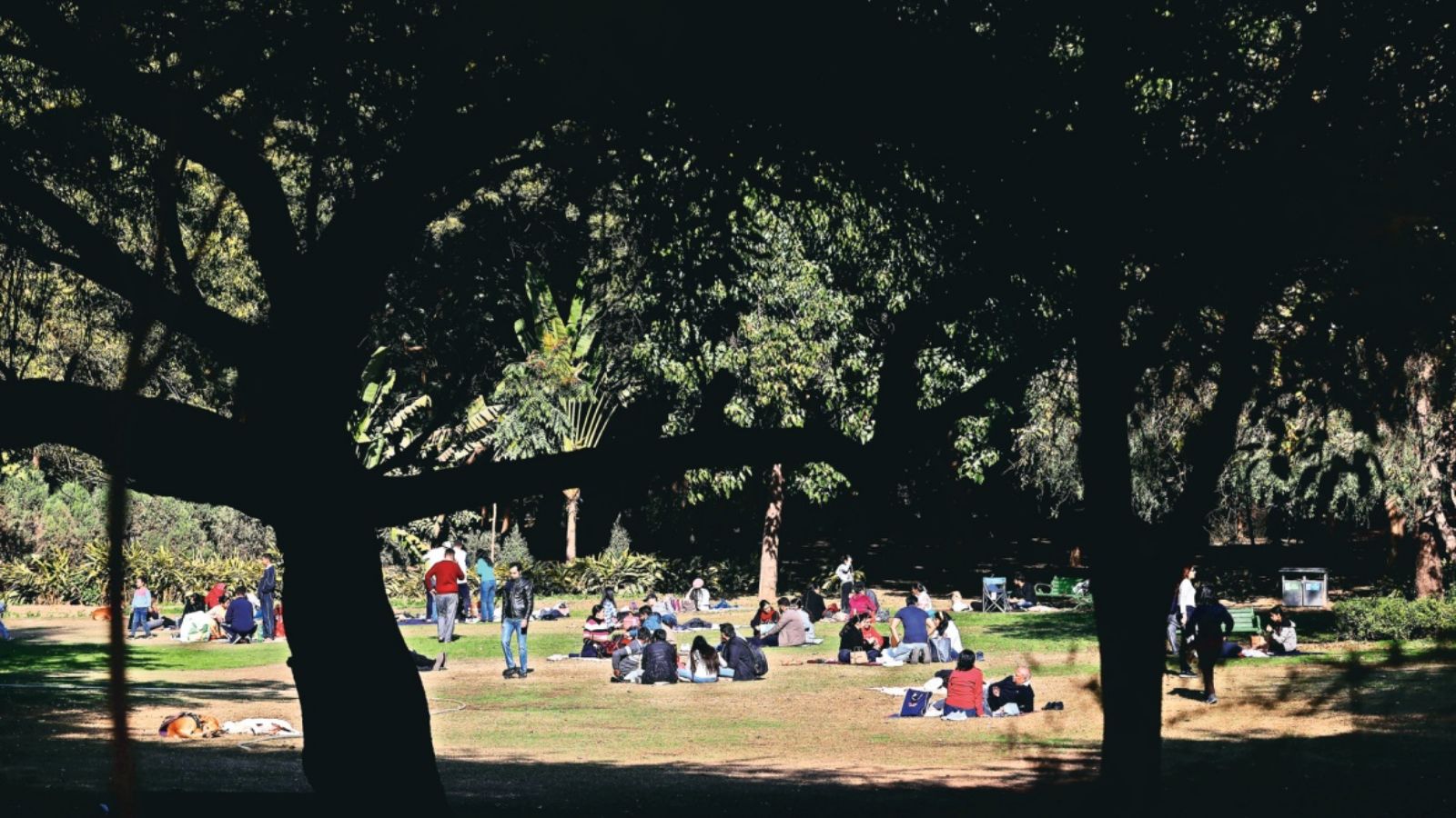 Delhi highest temperature, Delhi temperature, Delhi weather, Delhi weather report, Delhi weather forecast, delhi news, India news, Indian express, current affairs