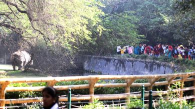 delhi zoo