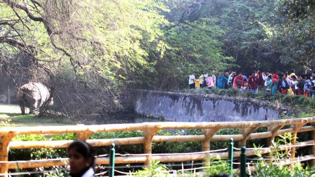 delhi zoo