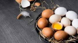 By the 20th day of his egg diet, Everett began experiencing severe digestive distress.