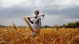 farmer budget 2025, nirmala budget 2025 agri sector, budget agriculture, Budget 2025 Announcements, farmer demands in India, agriculture sector challenges, Union Budget 2025 Announcements, Budget Highlights, Budget 2025 Highlights, Budget 2025 key announcements, Indian express
