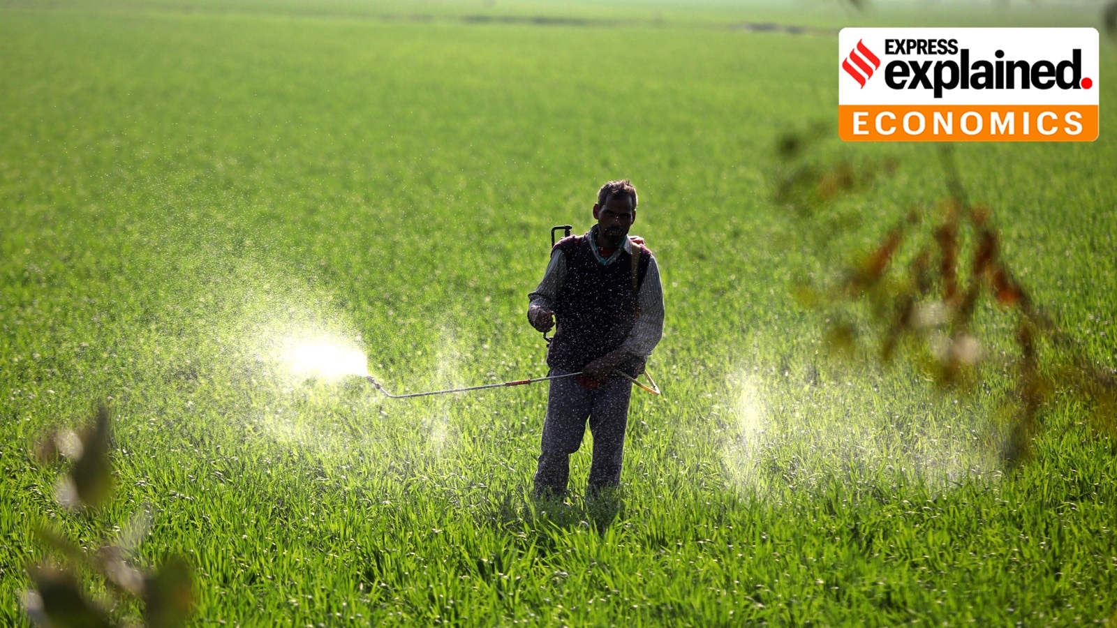 A farm labourer sprays fertiliser in a field.
