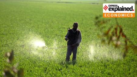 A farm labourer sprays fertiliser in a field.