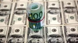 foreign institutional investors