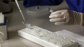 food quality test, haryana