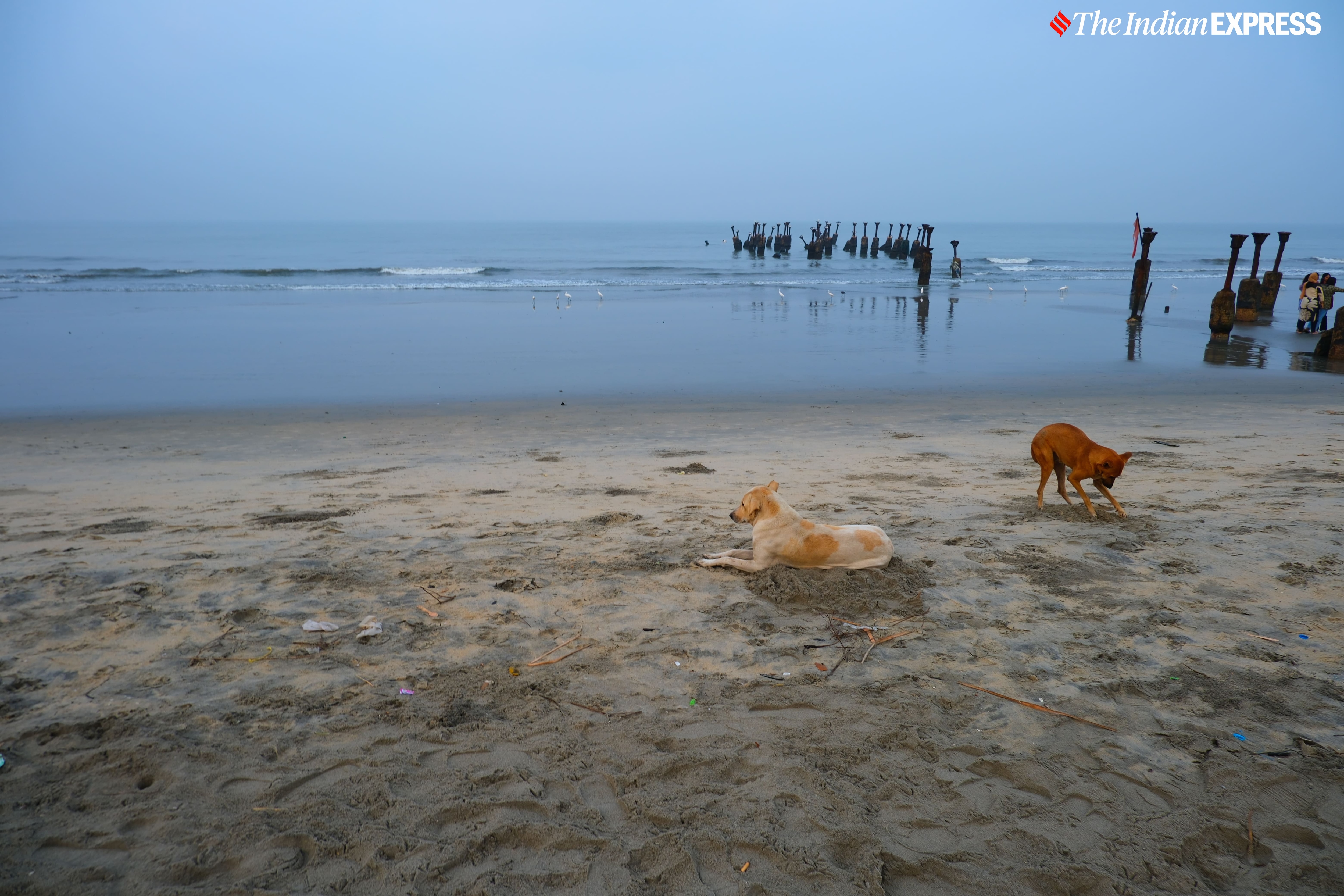 FujiFilm X-M5 review.