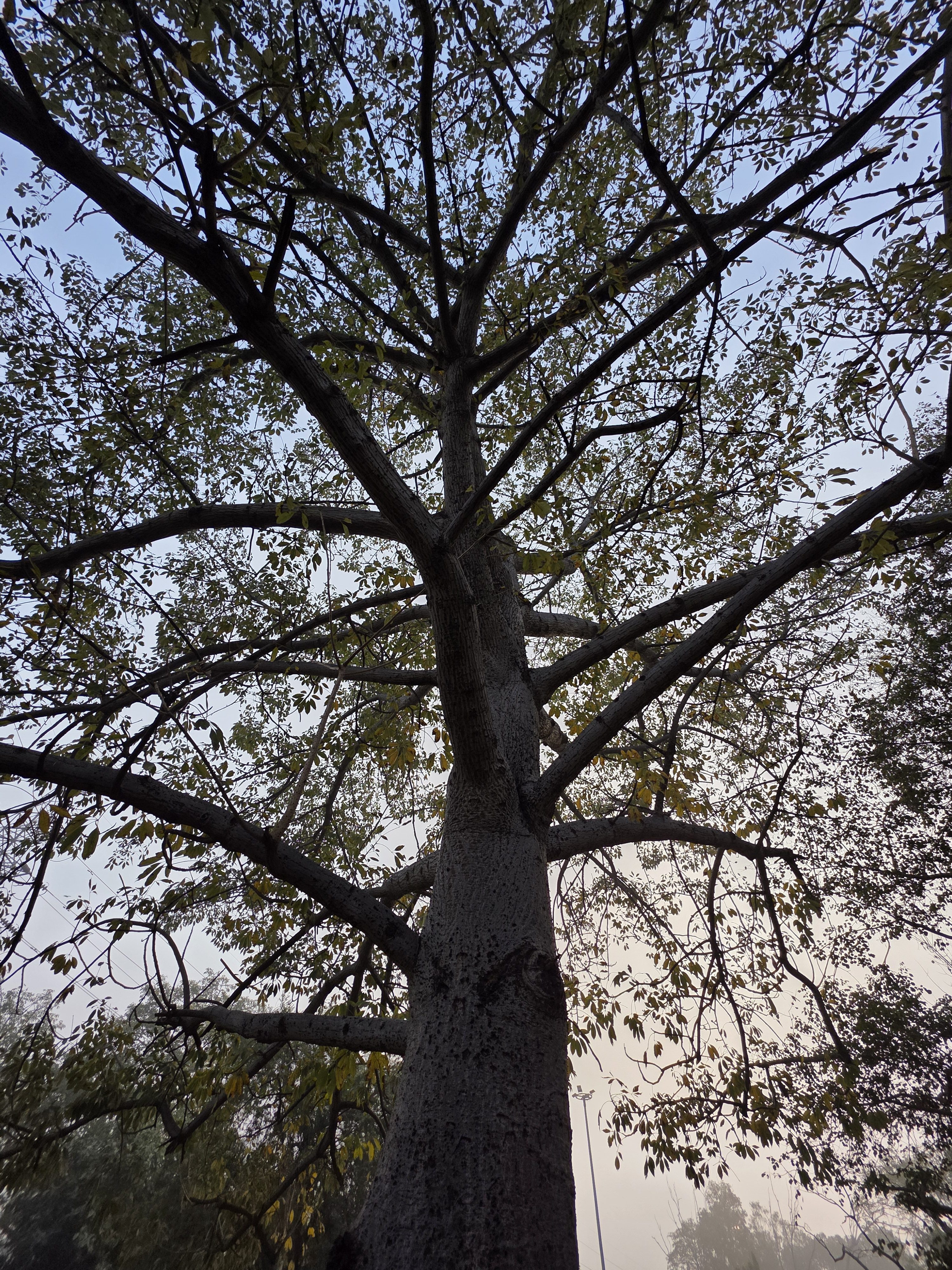 Galaxy S25 Ultra camera samples.