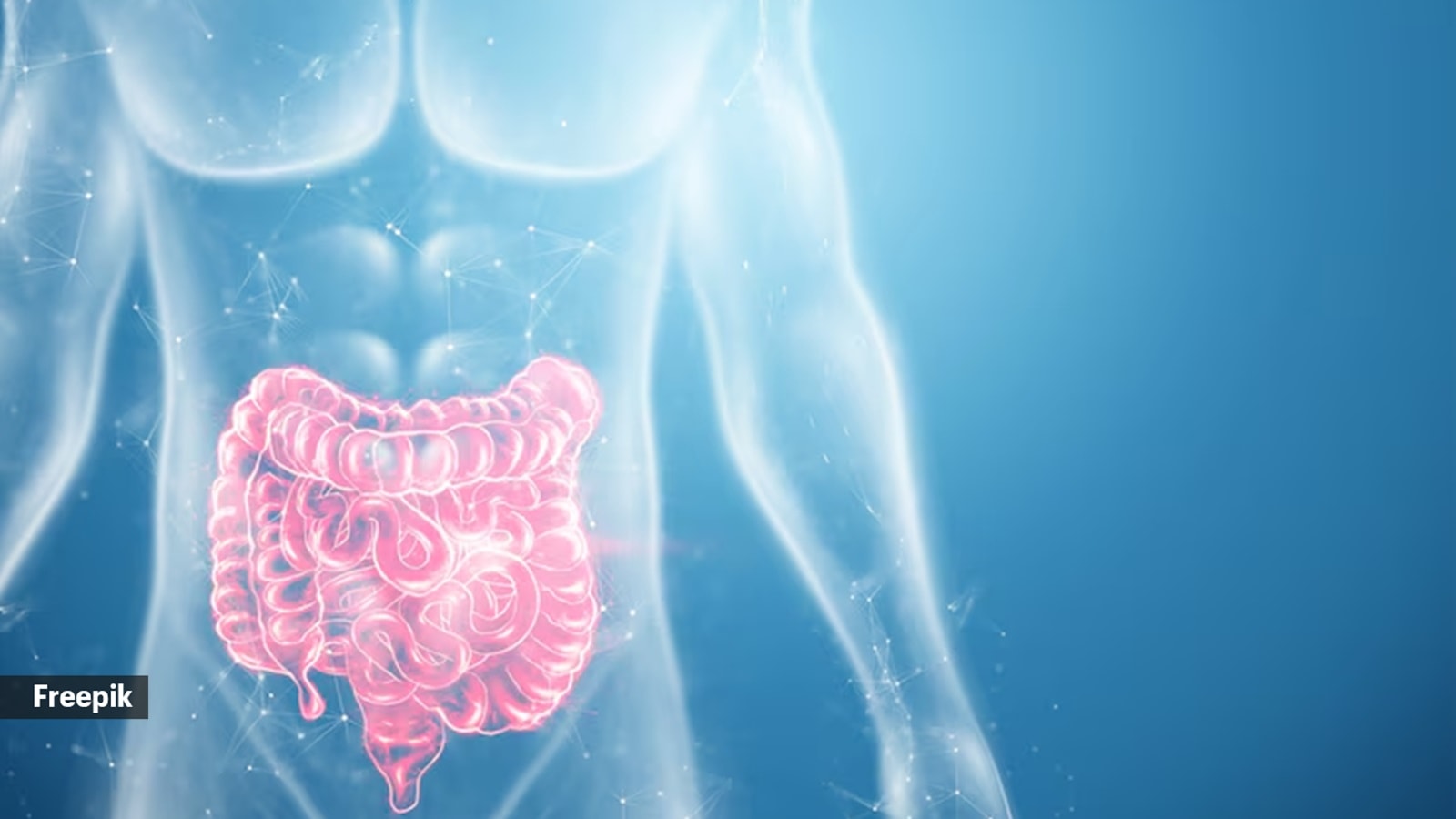 How fast is your gut? The answer to this question is important to your health