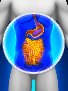 The impact of microbiota imbalance on your health