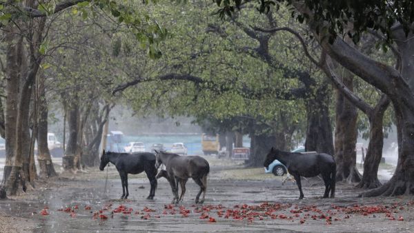 imd, kolkata, rain, weather update,