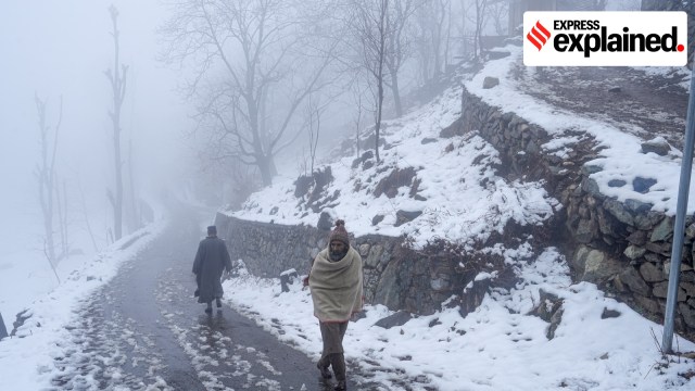 srinagar