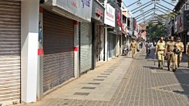 kerala hartal, wild animal attack, indian express