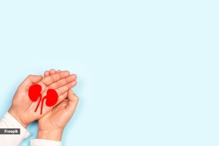 kidney health representational image