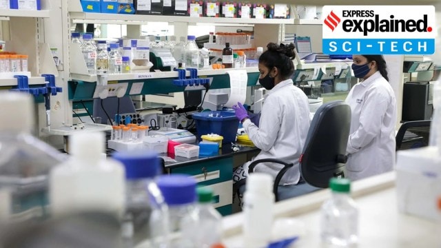 lab test