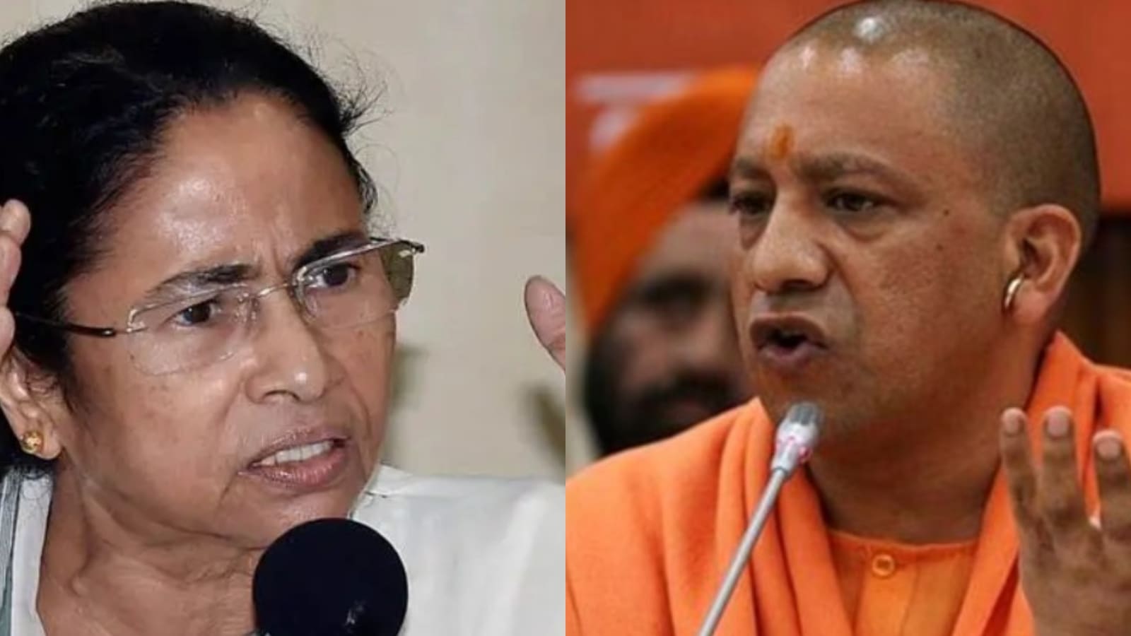 The Art of Baking: From Classic Bread to Artisan Pastries