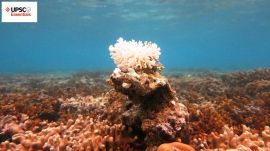 UPSC Essentials | Mains answer practice — GS 1 (Week 89 and 90)