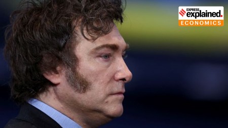 Milei, crypto, meme coins