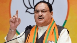 nadda, urea, shortage, scarcity, profit, indian express