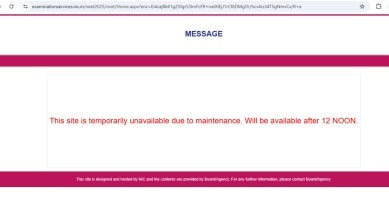 NEET UG 2025 website