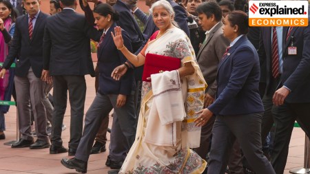 Nirmala Sitharaman, Pulses, Budget