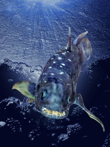 The world’s oldest living creatures