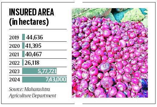 As climate change hits onion, farmers look for crop cover