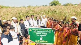 pune dal