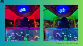 Pune autorickshaw with aquarium and disco lights