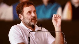 dalits, weaker sections, leadership, power, rahul gandhi, congress, caste census, indian express