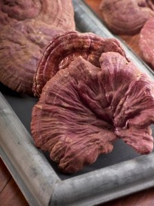 Reishi mushrooms: An ancient remedy with a rich history
