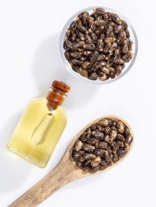 Benefits and risks of seed oils