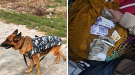 sniffer dog Roxy Punjab police