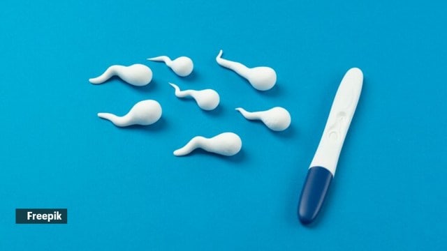 sperm