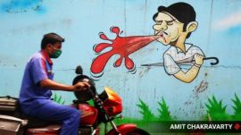 Latest News on Spitting: Get Spitting News Updates along with Photos ...