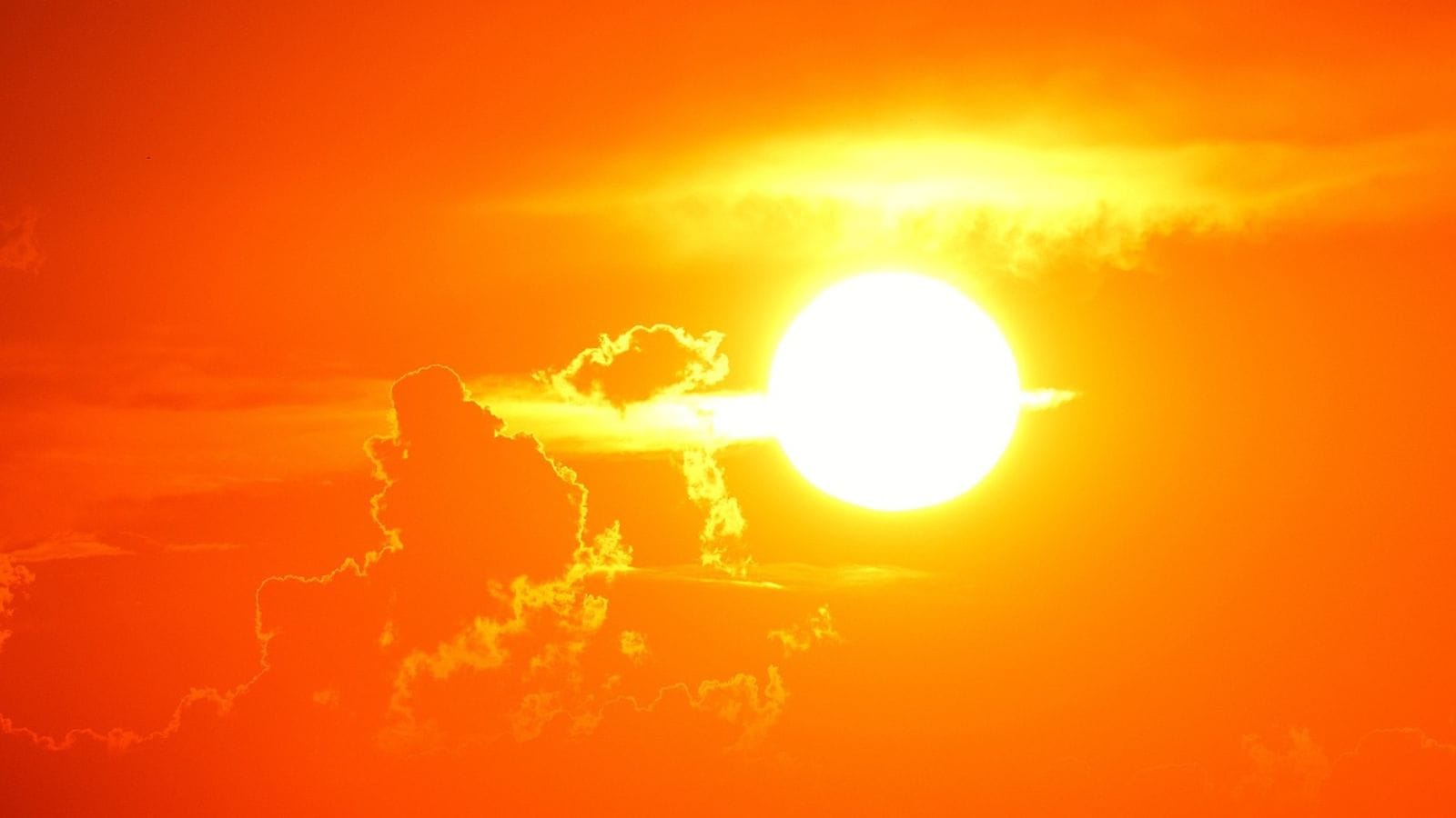 The Met Department has forecast a warm February over most parts of the country this year, with both maximum and minimum temperatures expected to remain above normal. sun warm summer january