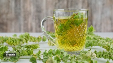 coriander tea