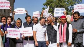 us deportees, illegal indian immigrants, opposition, rahul gandhi, congress, samajwadi party,