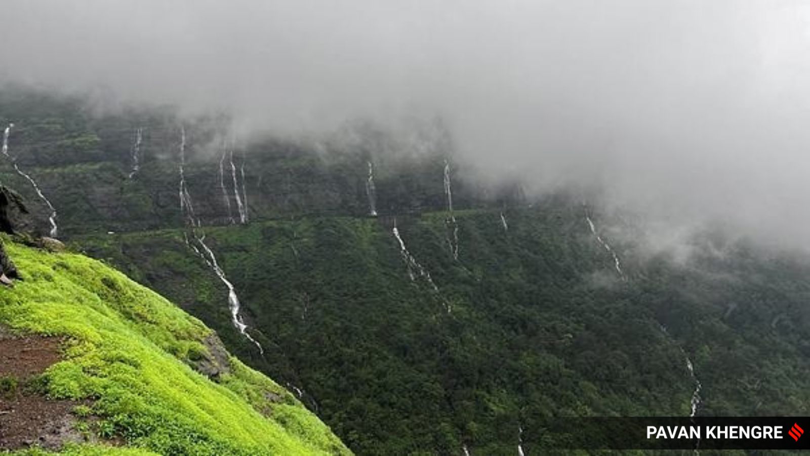 Slope direction plays a crucial role in determining tree cover and canopy height in the Western Ghats: Study