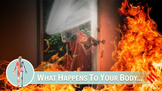 A massive fire broke out on the 42nd floor of the Salsette Building in Mumbai’s Byculla. The Mumbai Fire Brigade launched a rescue operation, safely evacuating residents. Experts warn of the dangers of smoke inhalation, including long-term lung damage.