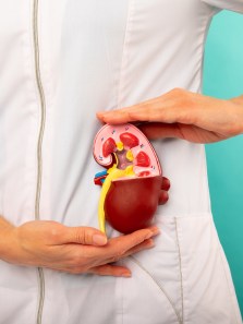 World kidney day 2025: Essential tips for maintaining kidney health