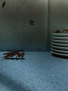 Tips to keep roaches out of your kitchen drawers