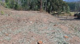 according to the show-cause notice, inspection found that nearly 2,000 of the total 4,000 trees on the land was cut.