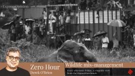 Derek O’Brien writes: Government is not serious about human-animal conflict